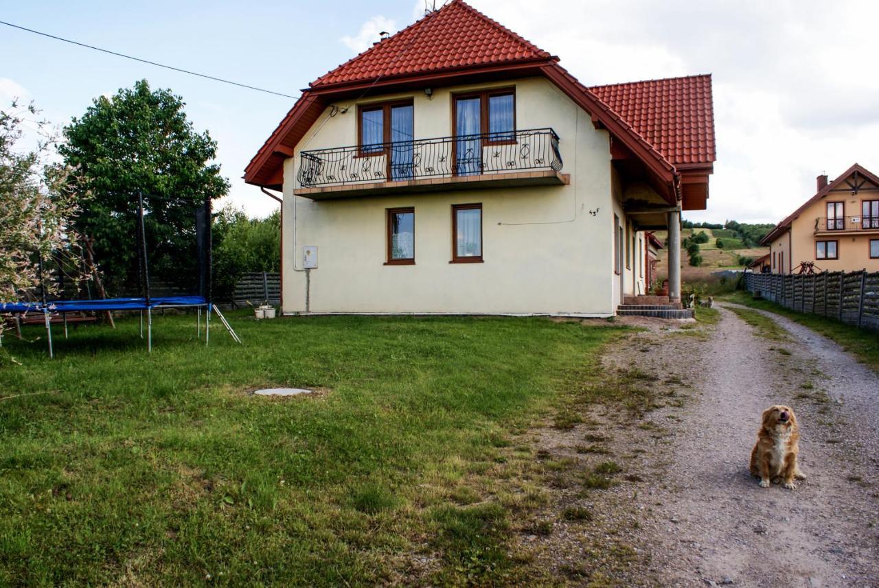 Agroturystyka U Aleksa Krajno-Zagorze Esterno foto